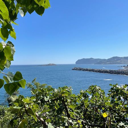Bertoko Urdaibai II Apartment Bermeo Luaran gambar